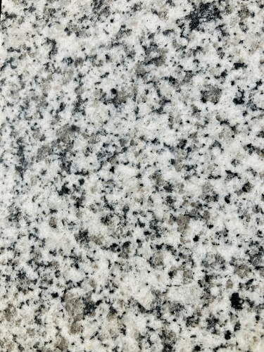 Bianco Sardo, poliert